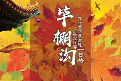 【春花秋葉，夏涼冬雪】-畢棚溝半自由行一日游，成都出發(fā)