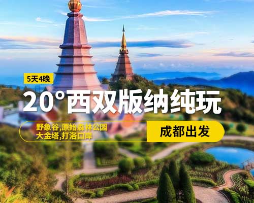 20°西雙版納純玩(5天4晚)15-20人精品小團(tuán)，野象谷，原始森林公園，大金塔，星光夜市，打洛口岸，成都出發(fā)（含往返高鐵票）